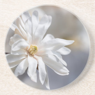 Dessous De Verre En Grès Star Magnolia Bloom