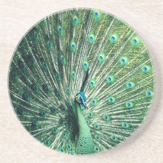 Dessous De Verre En Grès Strut Peacock (Devant)