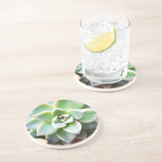 Dessous De Verre En Grès Succulent vert (Côté)
