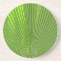 Surfaces naturellement Cool_Palm Frond rayonnant