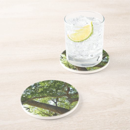 Dessous De Verre En Grès Sycamore Tree Nature verte (Côté)