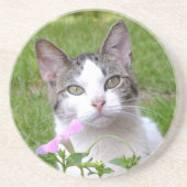 Dessous De Verre En Grès Tabby blanc chat et Pétunia rose (Devant)