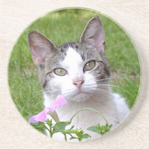Dessous De Verre En Grès Tabby blanc chat et Pétunia rose