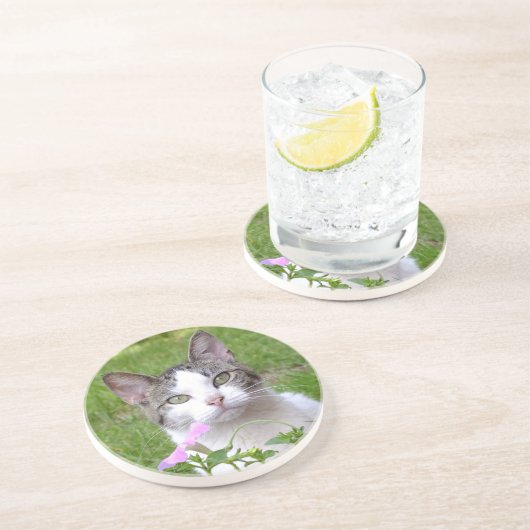 Dessous De Verre En Grès Tabby blanc chat et Pétunia rose (Côté)