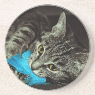 Dessous De Verre En Grès Tabby Cat avec plume par Shirley Taylor