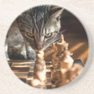 Dessous De Verre En Grès Tabby Cat Jouant Aux Échecs