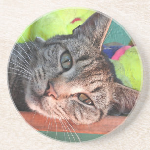 Dessous De Verre En Grès Tabby Cat Love