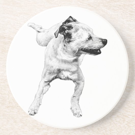 Dessous De Verre En Grès Tableau cidre, pivot joyeux (Devant)