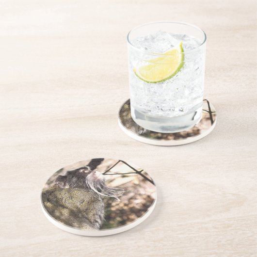 DESSOUS DE VERRE EN GRÈS TAMARIN MONKEY (Côté)