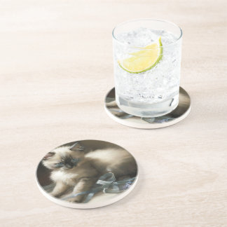 Dessous De Verre En Grès Tangle de ruban Siamese Kitten