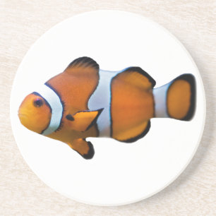 Dessous De Verre En Grès Tapis de poisson clown