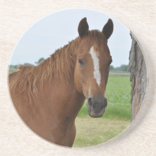Dessous De Verre En Grès Téléphérique du Cheval