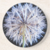 Dessous De Verre En Grès Tête de semence Dandelion (Taraxacum Officinale) (Devant)