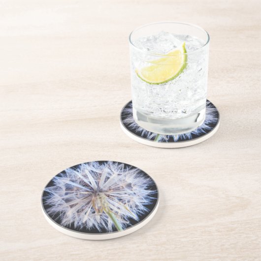 Dessous De Verre En Grès Tête de semence Dandelion (Taraxacum Officinale) (Côté)