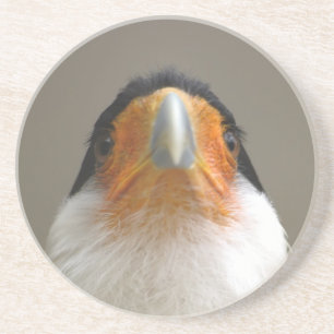 Dessous De Verre En Grès tête d'oiseau sérieux