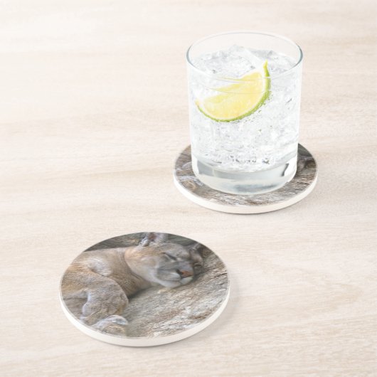 Dessous De Verre En Grès Tête somnolente (Côté)