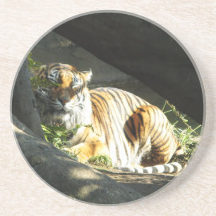 Dessous De Verre En Grès Tiger Catnap