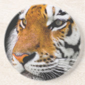 Dessous De Verre En Grès Tigre (Devant)