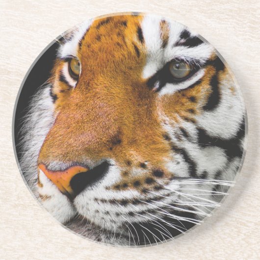 Dessous De Verre En Grès Tigre (Devant)