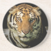 Dessous De Verre En Grès tigre (Devant)