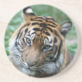 Dessous De Verre En Grès Tigre 013 (Devant)