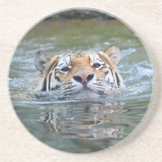 Dessous De Verre En Grès Tigre 028 (Devant)