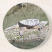 Dessous De Verre En Grès Tortue (Devant)