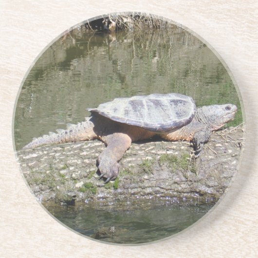 Dessous De Verre En Grès Tortue (Devant)