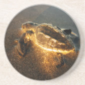 Dessous De Verre En Grès Tortue de bébé (Devant)