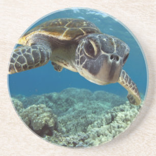 Dessous De Verre En Grès Tortue de mer verte hawaïenne