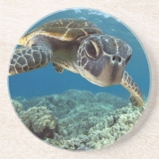Dessous De Verre En Grès Tortue de mer verte hawaïenne