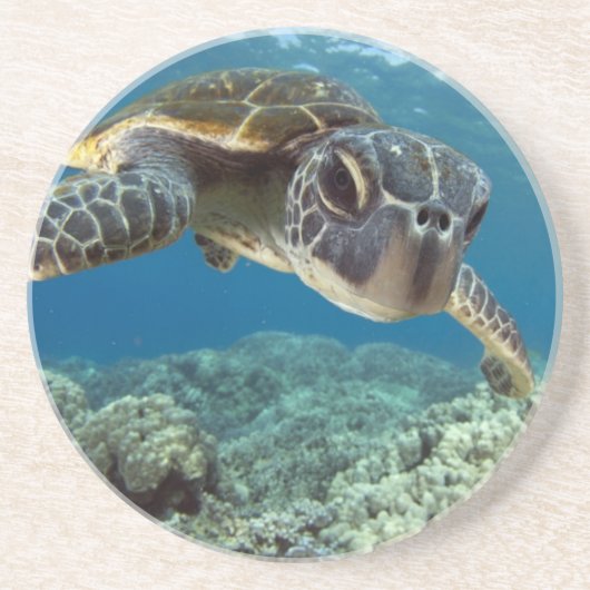 Dessous De Verre En Grès Tortue de mer verte hawaïenne (Devant)