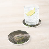 Dessous De Verre En Grès Tortue géante (Côté)
