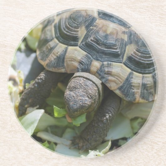 Dessous De Verre En Grès Tortue mignonne (Devant)