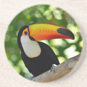 Dessous De Verre En Grès Toucan