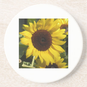 Dessous De Verre En Grès Tournesol
