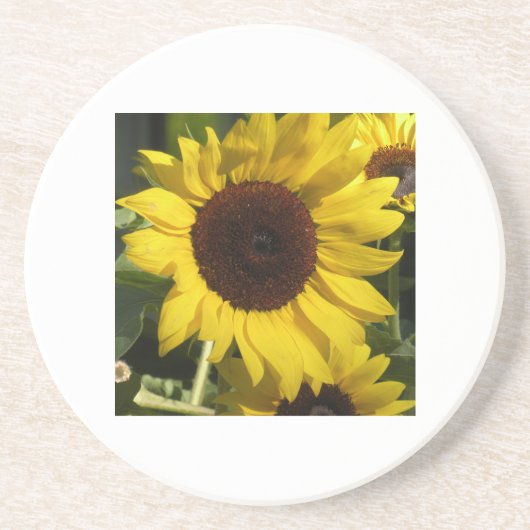 Dessous De Verre En Grès Tournesol (Devant)