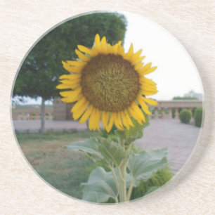 Dessous De Verre En Grès Tournesol