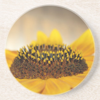 Dessous De Verre En Grès Tournesol