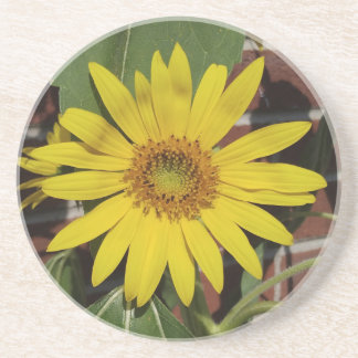 Dessous De Verre En Grès Tournesol