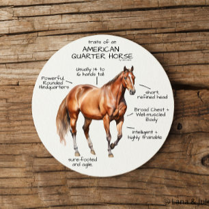 Dessous De Verre En Grès Traits d'un cheval de quartier américain