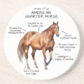 Dessous De Verre En Grès Traits d'un cheval de quartier américain (Devant)