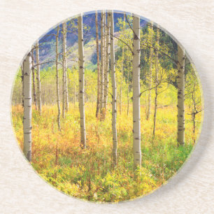 Dessous De Verre En Grès Trembles en automne dans les Rocheuses
