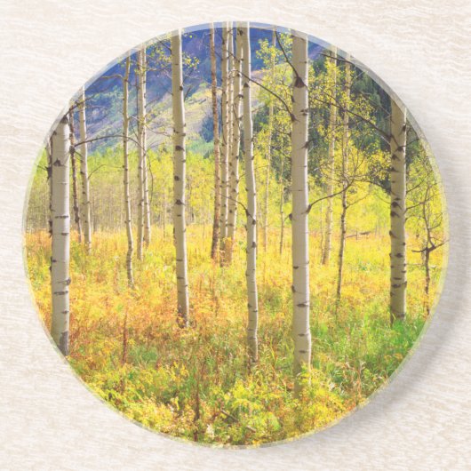 Dessous De Verre En Grès Trembles en automne dans les Rocheuses (Devant)