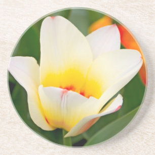 Dessous De Verre En Grès Tulipe