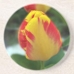 Dessous De Verre En Grès tulipe rouge jaune