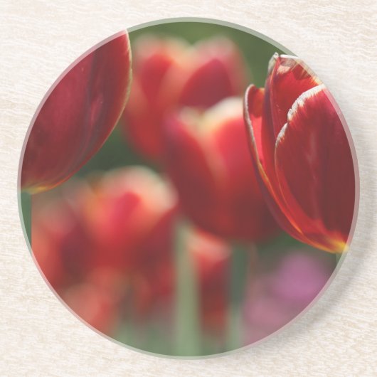 Dessous De Verre En Grès Tulipes (Devant)