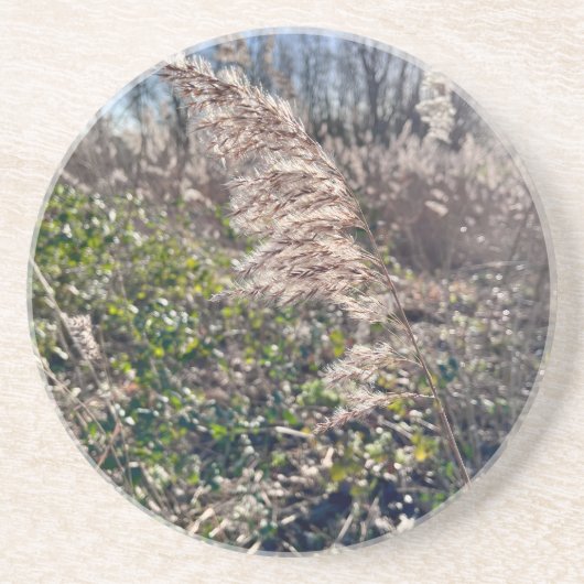 Dessous De Verre En Grès Un bonheur d'automne... (Devant)