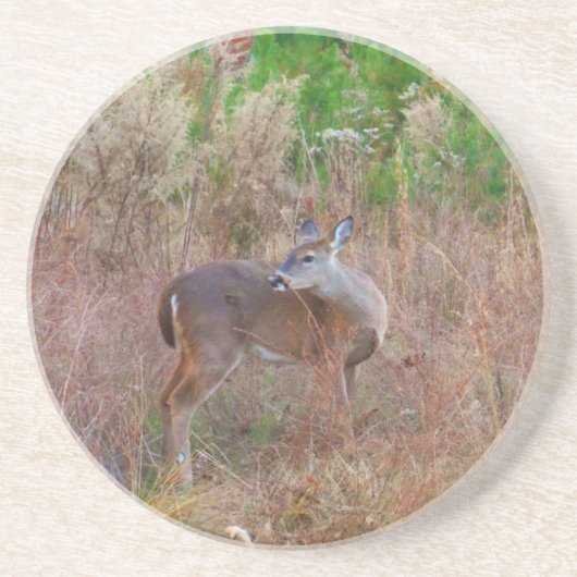 Dessous De Verre En Grès Un cerf dans l'herbe haute (Devant)
