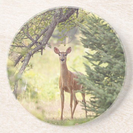 Dessous De Verre En Grès Un cerf solitaire (Devant)